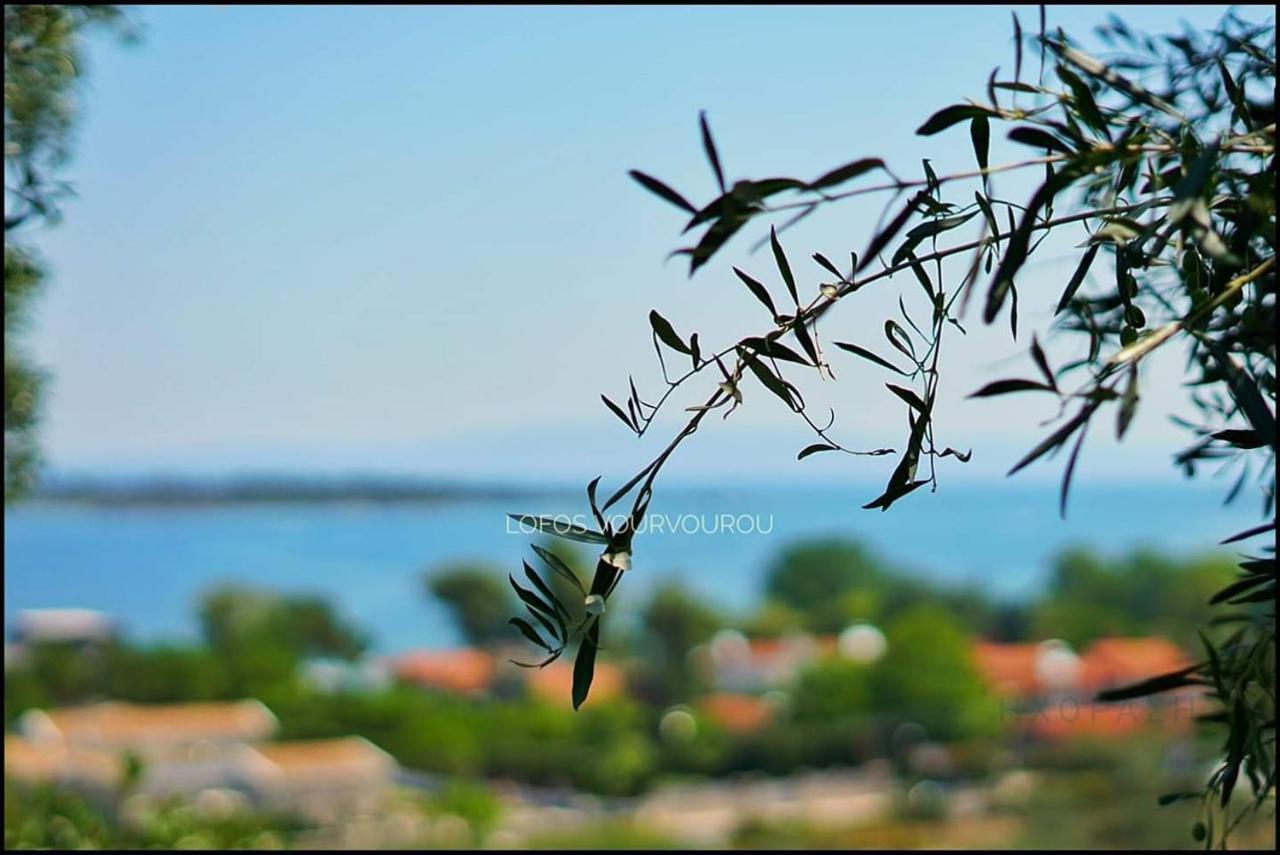 Lofos Vourvourou Apartment Bagian luar foto